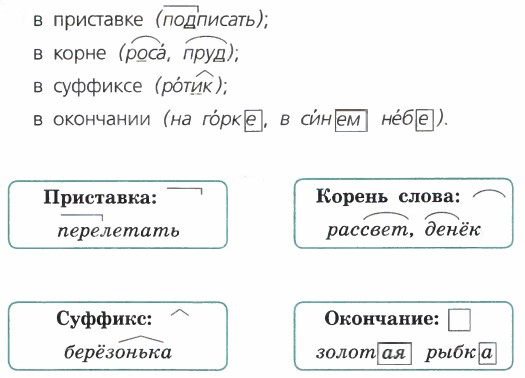 Орфограмма в слове стол